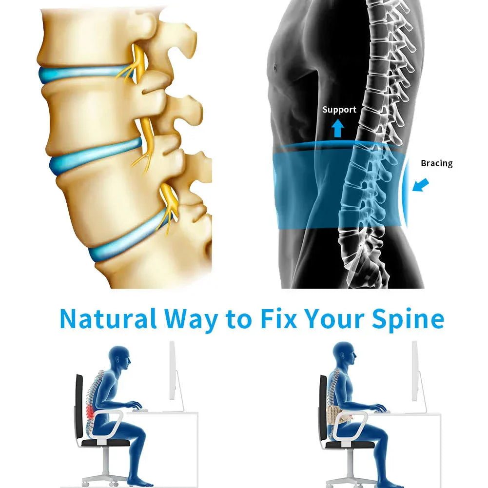 Comphyo LumbarSupport - Komfortable Rückenunterstützung